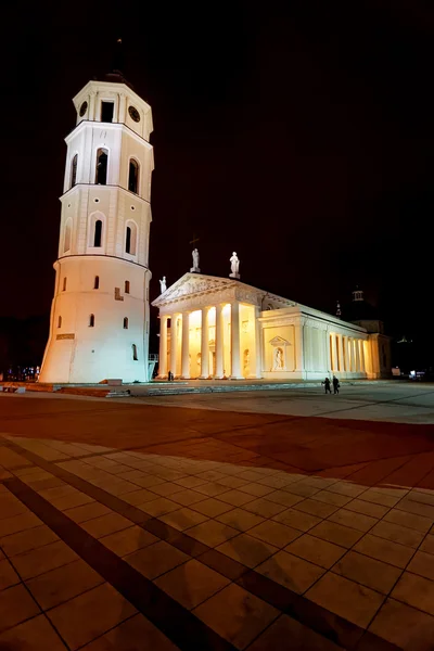 Wileńskiej katedry i dzwon wieża — Zdjęcie stockowe