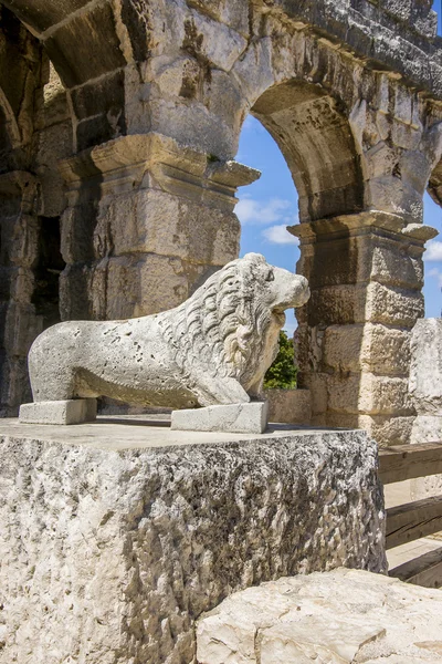 Antika lejonet statyn i Pula — Stockfoto