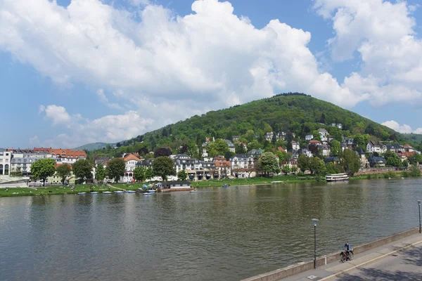 Landscape of Quay of Neckar river in summer Heidelberg — Stock Photo, Image