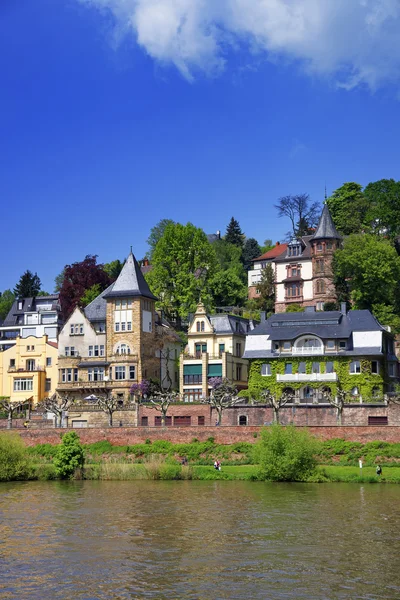 Kai des Flusses im Sommer heidelberg — Stockfoto