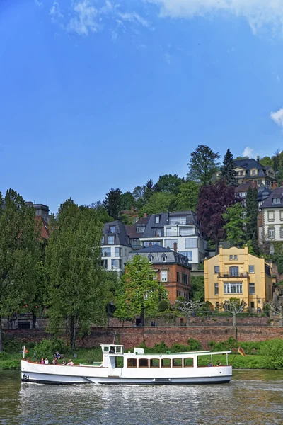 Crucero holidat blanco en el río en verano Heidelberg — Foto de Stock