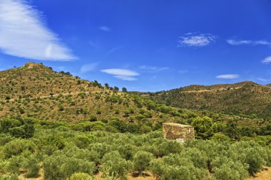 Provence Dağları'nda yol
