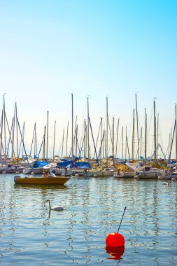 Kuğu ve tekne Marina Geneva Gölü bay Harbor Lozan,
