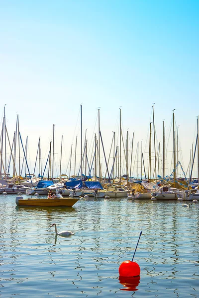 Labutě a lodě v přístavu v Ženevské jezero bay harbor v Lausanne, — Stock fotografie