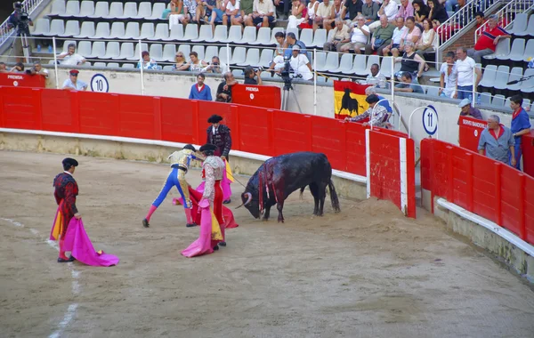斗牛，西班牙的全民娱乐 — 图库照片