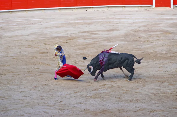 Bull attackes toreador v arena Plaza monumentální — Stock fotografie