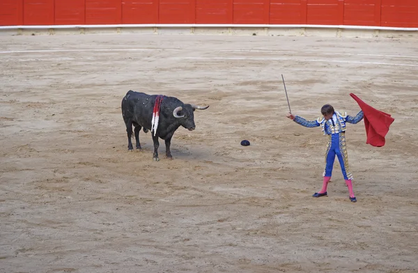 Bull regarde l'épée dans la main du torero — Photo