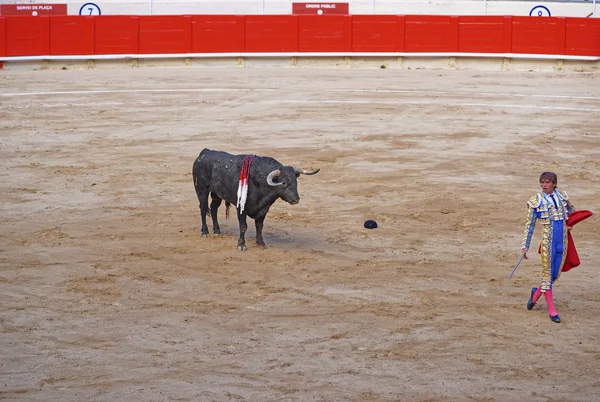 Bull oči toreador zamyšleně před útokem — Stock fotografie