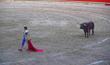 İspanyol Boğa güreşçisi ve La anıtsal arenada boğa