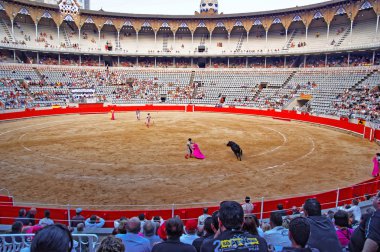 Barcelona, İspanya La anıtsal arenada boğa güreşi gösterisi