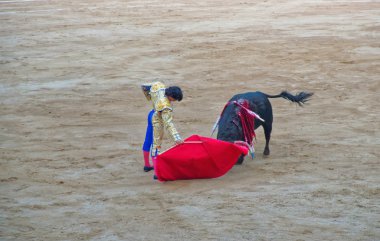 Spanish torero fights the bull. Barcelona, Spain