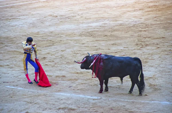 Tjurfäktning show på arena Plaza Monumental de Barcelona — Stockfoto