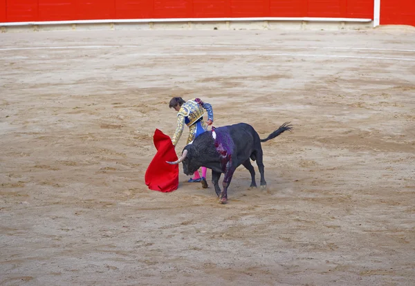 スペインの闘牛士がその文字を表示する雄牛をからかう — ストック写真
