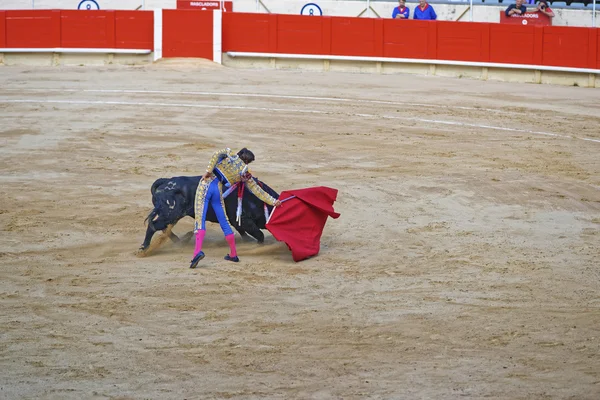 Ταυρομάχος δείχνει το ταλέντο του σε μια επίδειξη bullfighing — Φωτογραφία Αρχείου