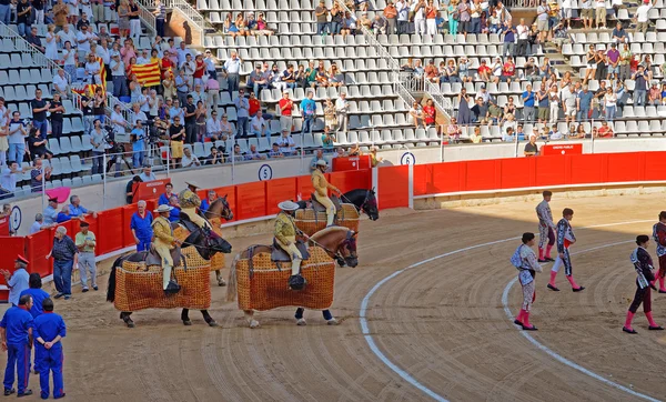 Lancers, entering La Monumental arena — 图库照片