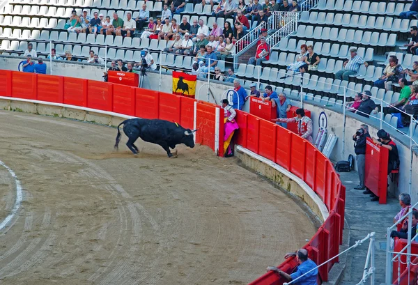 Spanish torero is performing a bullfight at the bullfighting are — Zdjęcie stockowe