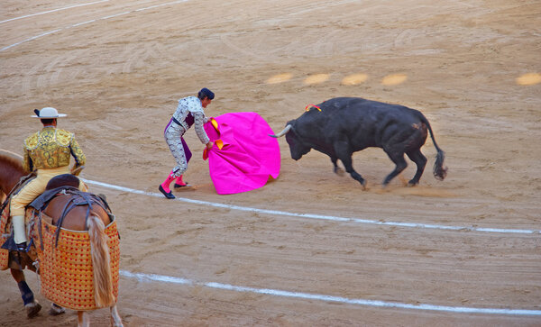 Боец быков в бычьем ринге
