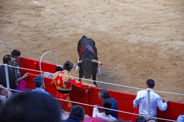 Touro olha para o torero — Fotografia de Stock