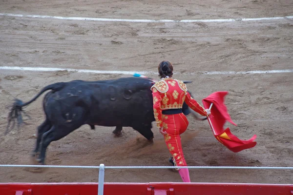 Bullfighter and a bull in a bullring during spanish national ent — Φωτογραφία Αρχείου