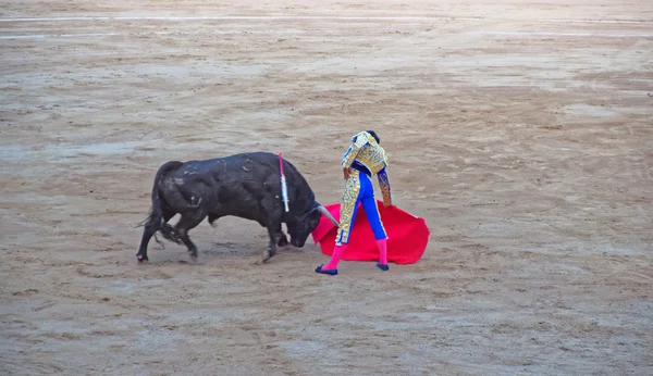 Momento de desempenho de touradas em La Monumental, Espanha, em agosto de 2010 — Fotografia de Stock