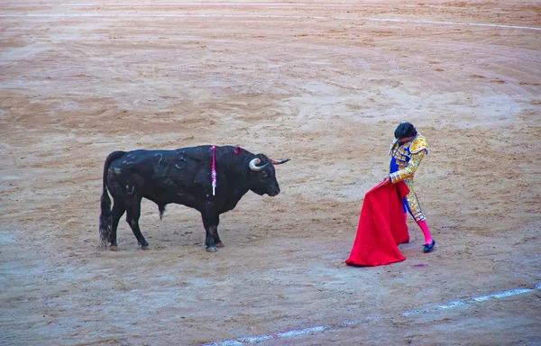 Traditional Spanish amusement - corrida (bullfighting) in Barcelona — Stock Fotó