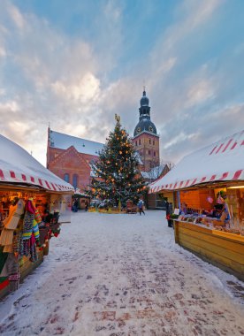 Traditional christmas tree on the christmas market