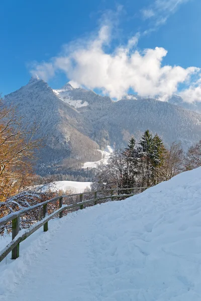 Szwajcarskie w pobliżu miasta Gruyere w dzień słoneczny zimowy — Zdjęcie stockowe