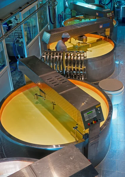 Cheese processing vats at the Gruyere cheese factory — Stock Photo, Image