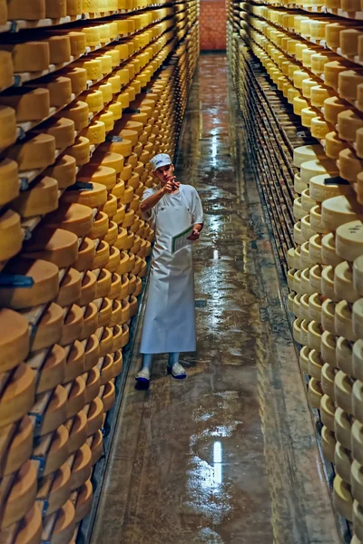 Gruyere cheese factory worker in a cellar in a cellar — стокове фото