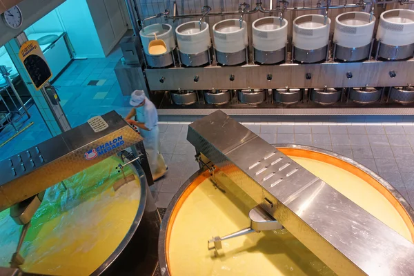 Tini nella sala di produzione del formaggio — Foto Stock