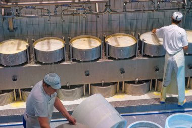 Gruyere Peynir üretim işlemi sırasında
