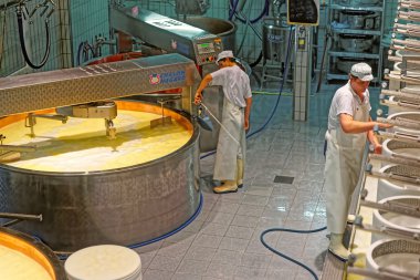 Peynir yapma fabrika sanayi üretimi o sırasında işçilerin