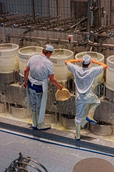 Produttori di formaggio al lavoro durante la lavorazione del formaggio Gruyere — Foto Stock