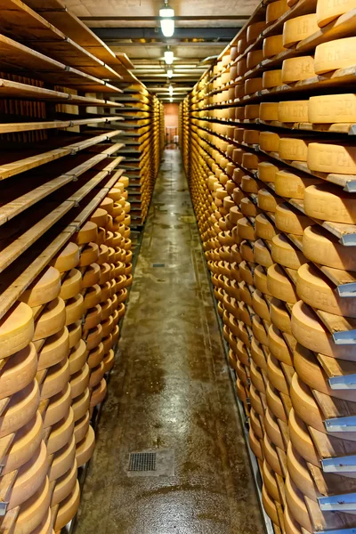 Gruyere-kaas rijpen in een kelder van het zuivelbedrijf Maison du Gruyere — Stockfoto