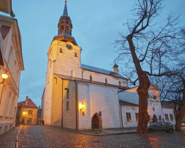Cathedral St Mary Virgin veya Toompea Dome Cathedral