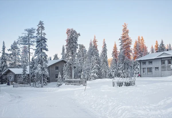 Cabañas en un bosque cubierto de nieve al amanecer en el pueblo de Ruka en Finlandia — Foto de Stock