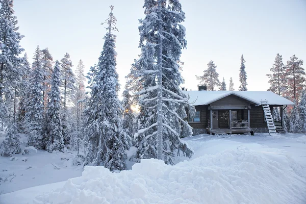 Vakantiehuis in een sneeuw bedekt bos met zonsopgang in Ruka dorp in Finland — Stockfoto