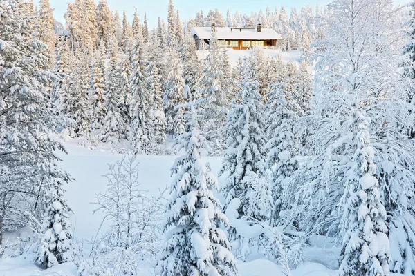 Huisje op een heuvel boven het besneeuwde bos in Ruka in Finla — Stockfoto