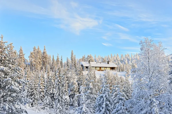 芬兰鲁卡白雪覆盖森林上方的小山上的小屋 — 图库照片