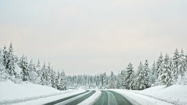 Kuzey Kutbu'nda Finlandiya'ya kar kaplı yol