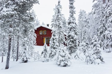 Kuzey Kutbu'nda Finlandiya'da Ruka'da karla kaplı ormanda Red Cottage