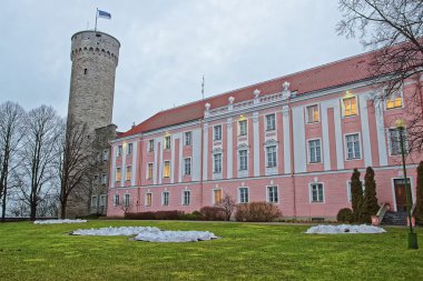 Toompea kale ve Estonya Tallinn Parlamento binası