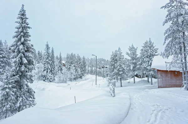 Huisjes en bomen in de sneeuw bedekt Ruka in Finland op het Noordpoolgebied — Stockfoto