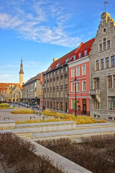 Vista sulla strada verso il municipio nella città vecchia di Tallinn in Estonia — Foto Stock