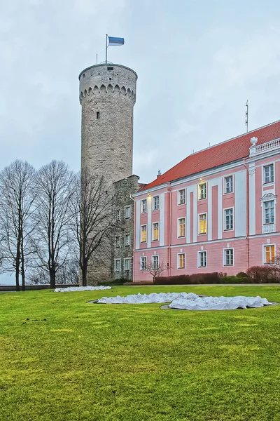 Замок Тоомпеа и здание парламента в Таллинне — стоковое фото