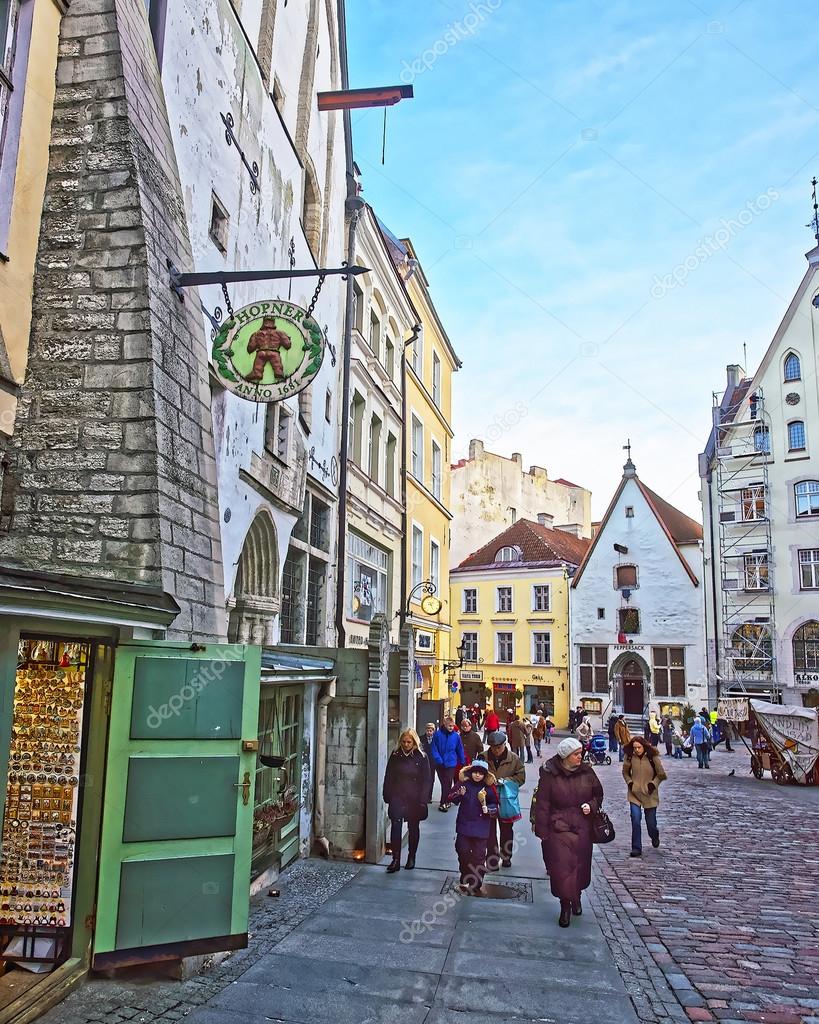 Street View Of The Town Hall Square Near Hopner Beer Restaurant In