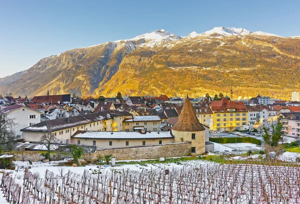 Vineyard and Alps in Chur at sunrise — Stock Photo, Image