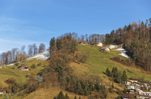 Vista panoramica della collina con case a Thun in inverno — Foto Stock