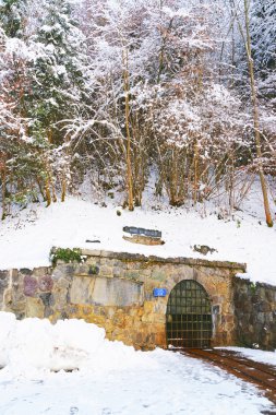 Benim Sel des Alpes İsviçre Bex tuz