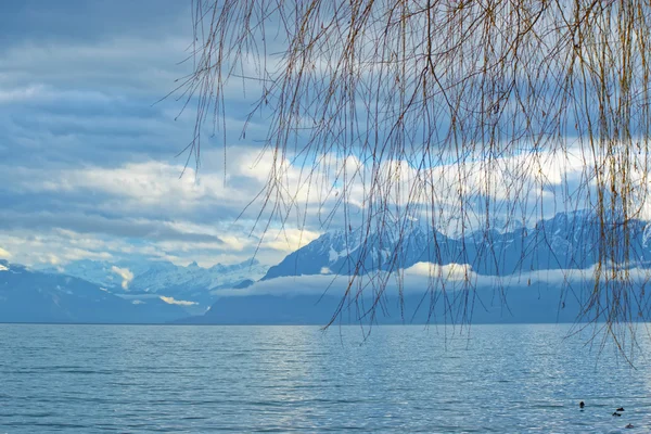 Lausanne quay Ženevské jezero — Stock fotografie
